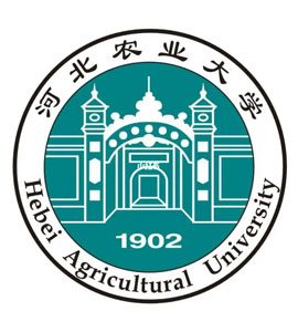 栾城河北农业大学